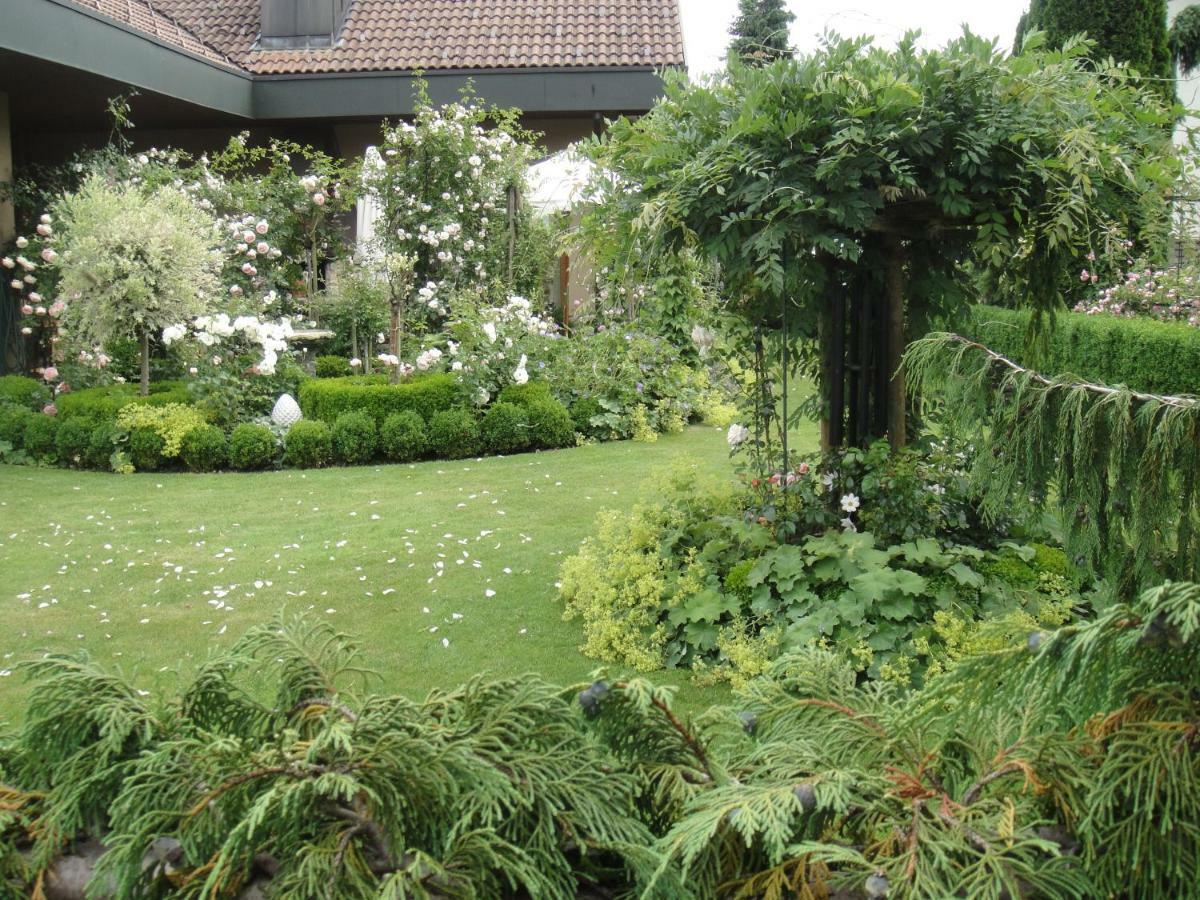 Charming And Cosy Apartment Near Lucerne Romerswil Esterno foto