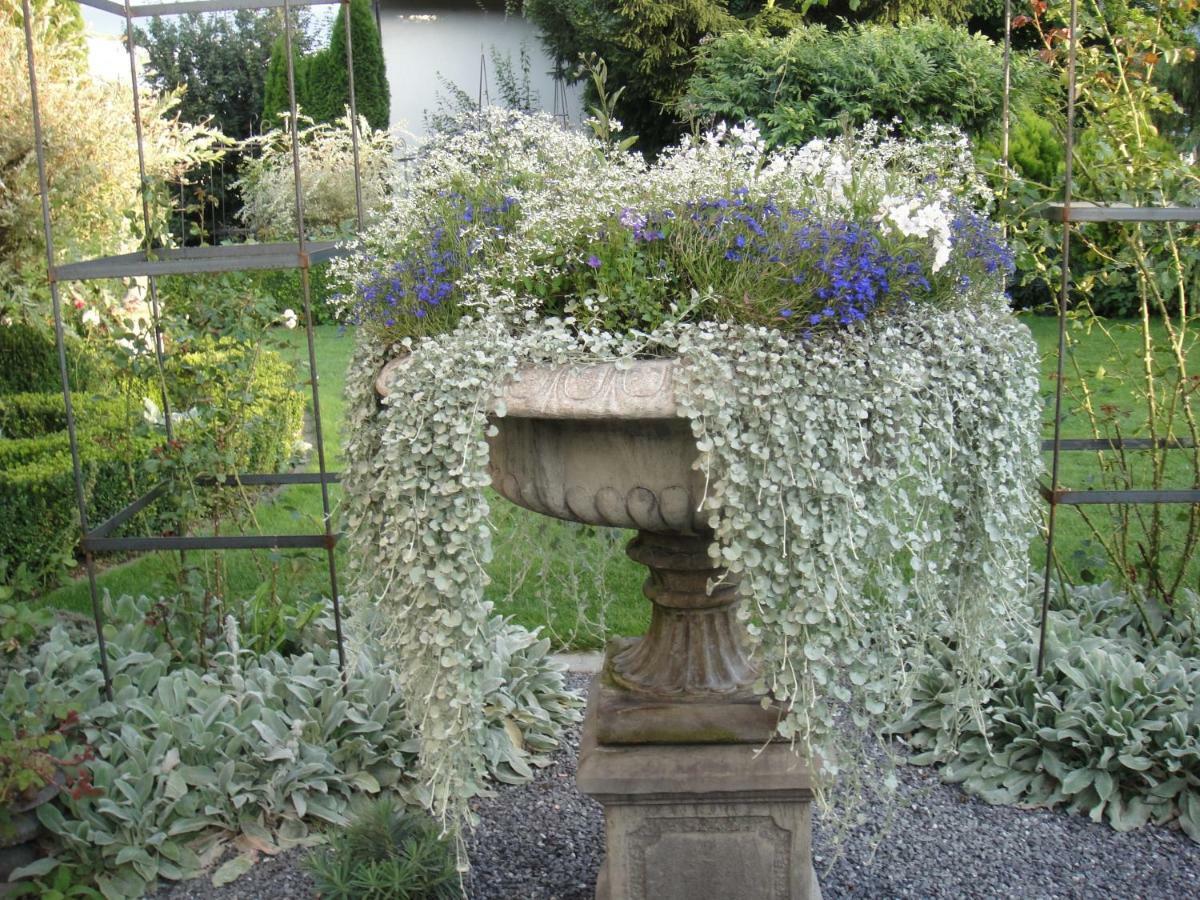 Charming And Cosy Apartment Near Lucerne Romerswil Esterno foto